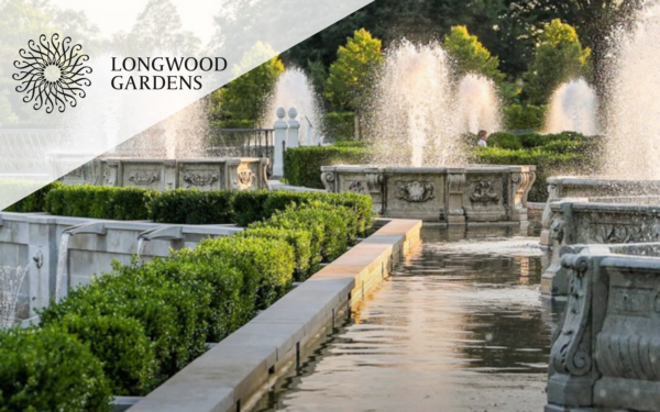 A picture of the fountains at Longwood Gardens.